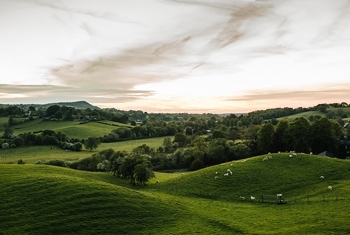 Heaton House Farm